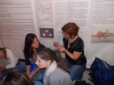 Dallo scavo al museo - Pon Archeologia